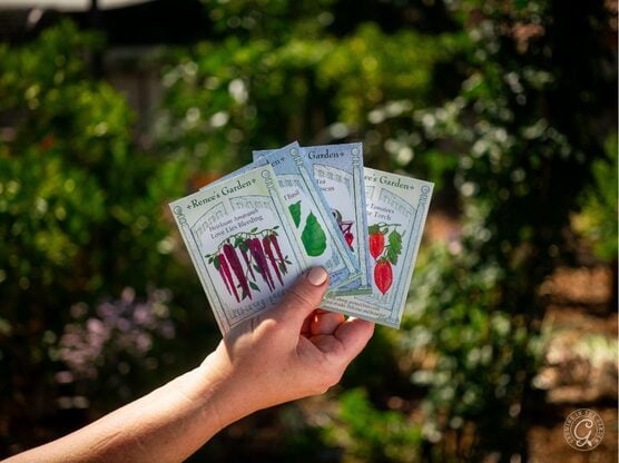 Renee’s Garden Seeds featured image
