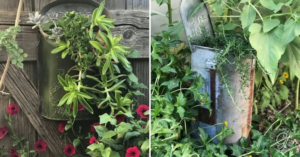 Repurpose mailboxes for container gardens