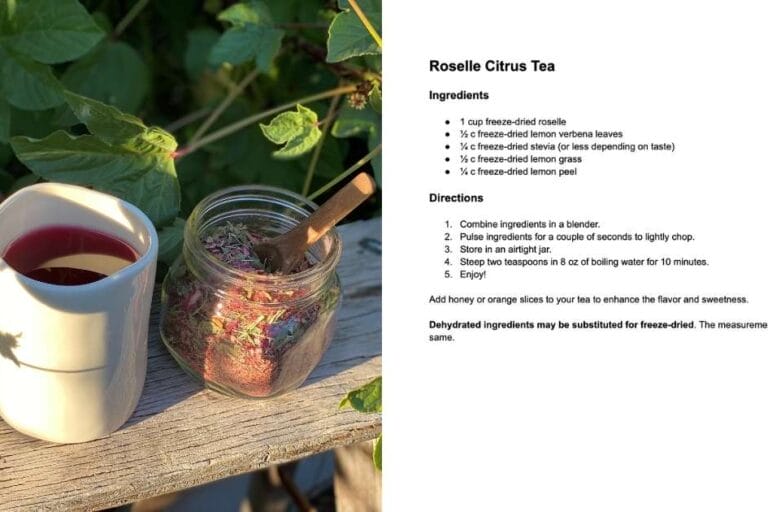 Roselle Citrus Tea featured image