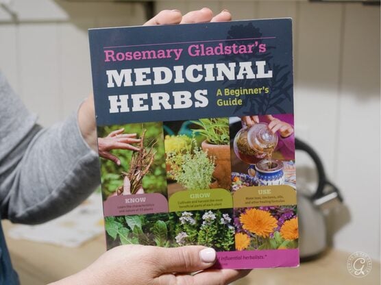 Rosemary Gladstar’s Medicinal Herbs featured image