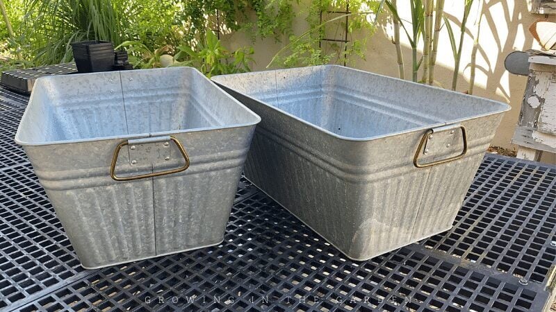 A large tub (or two) for washing, rinsing and submerging seed trays and containers