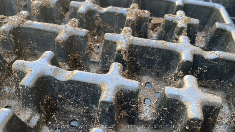 Remove debris and wash seed trays and supplies