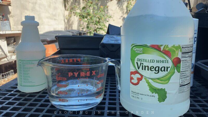 Once the trays are clean, spraying them with a vinegar solution can help remove water spots. 