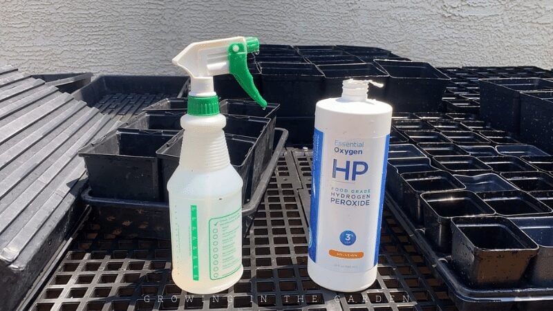 Use hydrogen peroxide to finish sanitizing your seed starting supplies