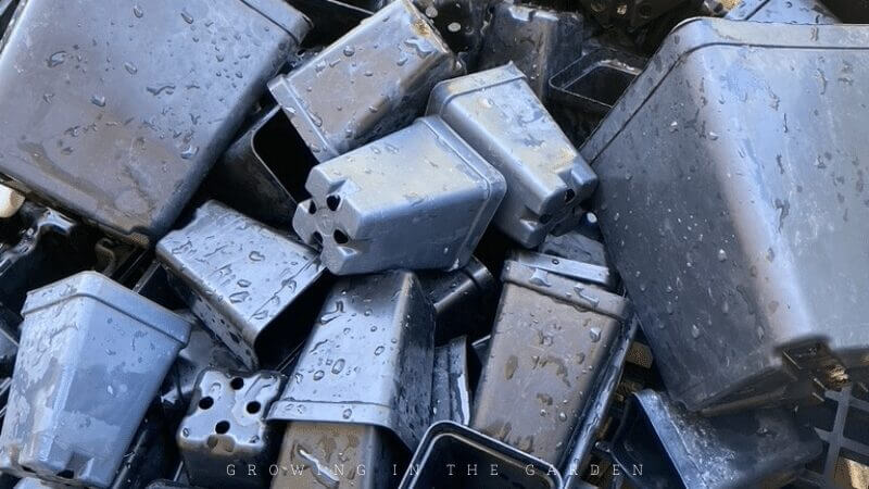 How to Sanitize Seed Starting Supplies