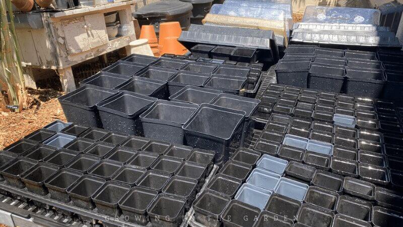 how to sanitize seed starting supplies