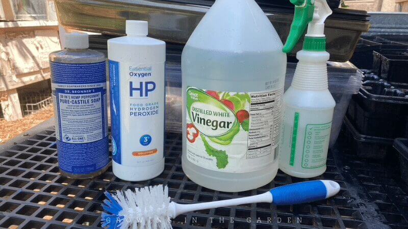 You may already have everything you need to sanitize your seed starting supplies. It’s easiest to work outside. 