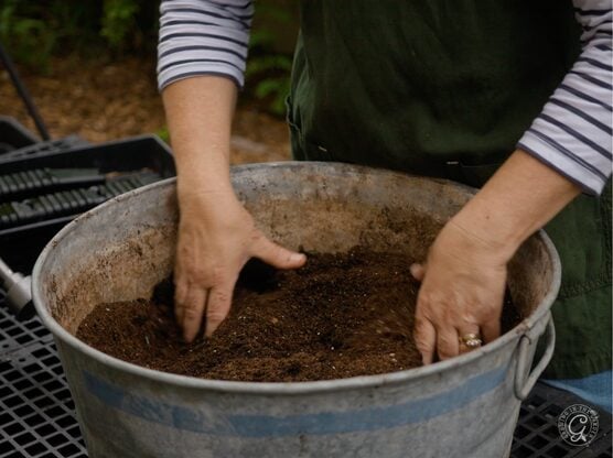 Seed Starting Mix featured image