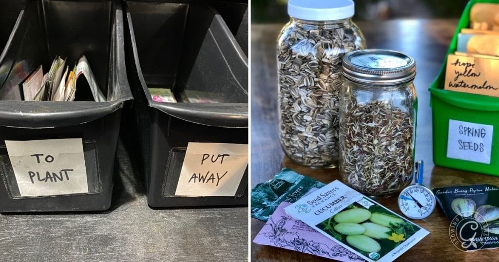 where to store seeds