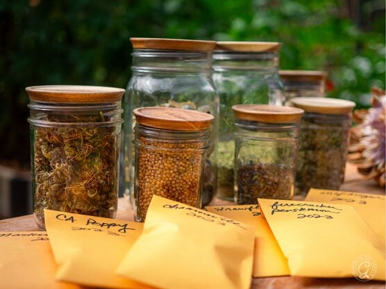 Wooden Storage Lids featured image