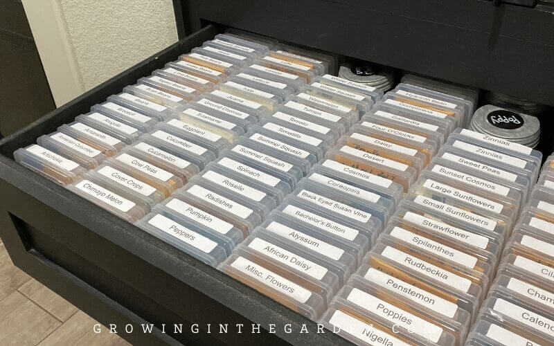 Seed Storage & Organization Tips