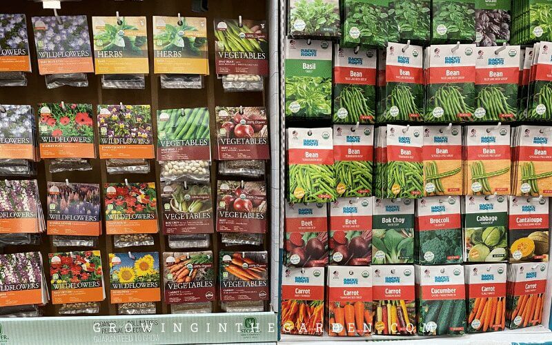 Seed Storage & Organization Tips