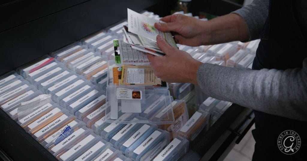 organizing seeds
