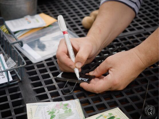 Sharpie Paint Pens featured image