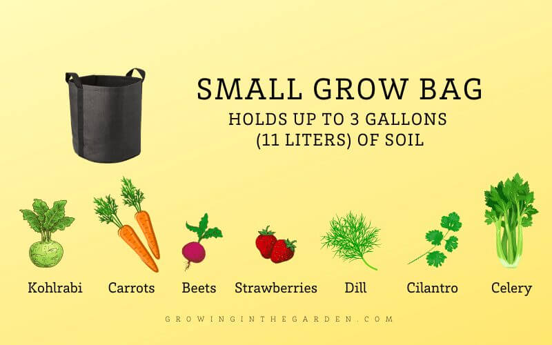 Grow Bag Gardening 5 Tips for Success