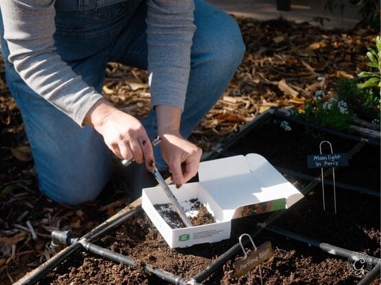 Soil Test Kit featured image