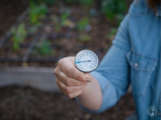Soil Thermometer featured image