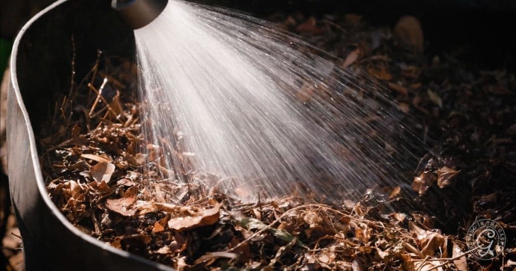 Spraying down compost (2)