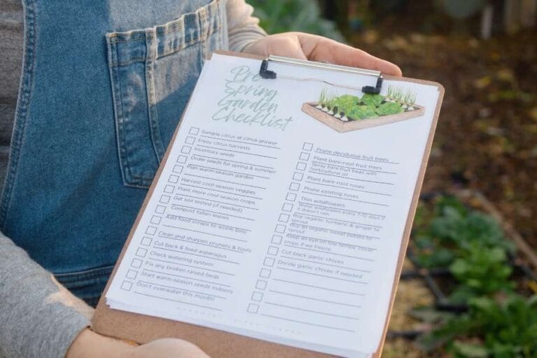 Tips for Spring Planting – Spring Garden Checklist featured image