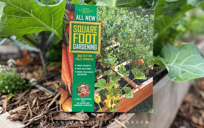 Here are a few important directions to follow to have a thriving Square Foot Garden: