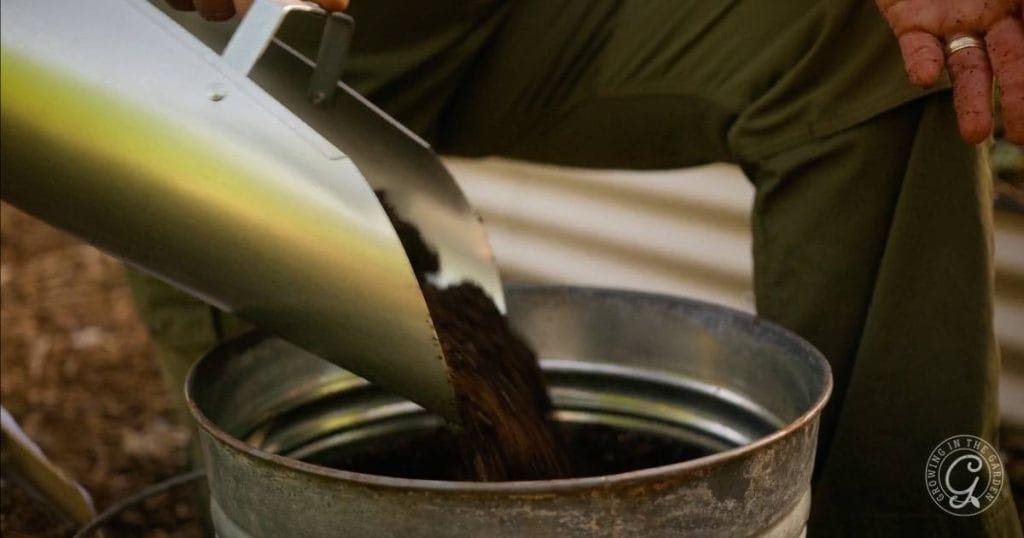 Succession Planting in the Low Desert