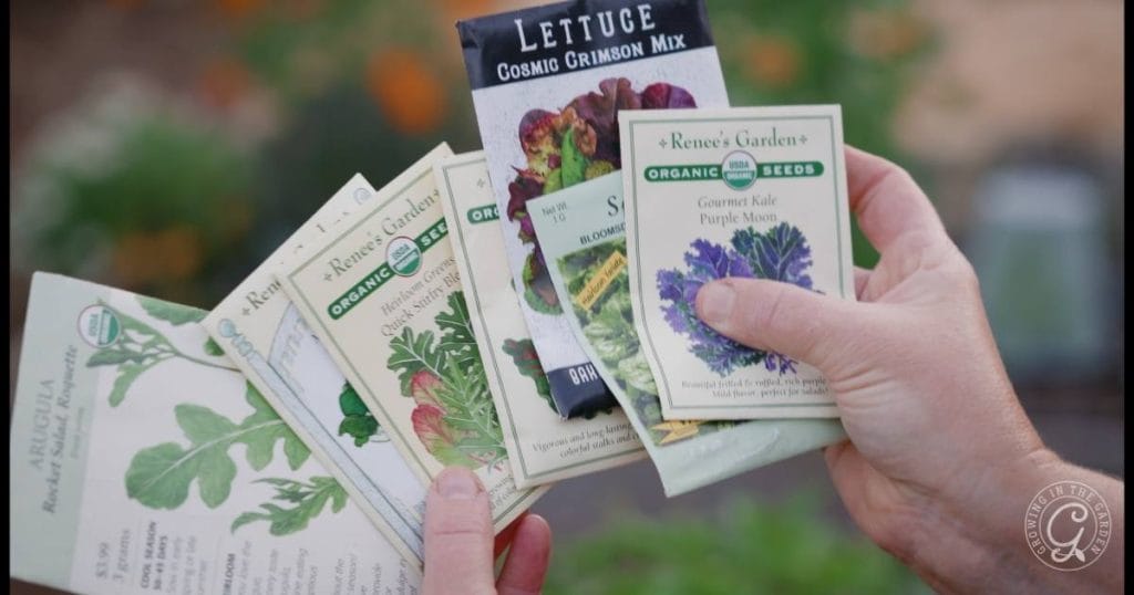 Succession Planting in the Low Desert