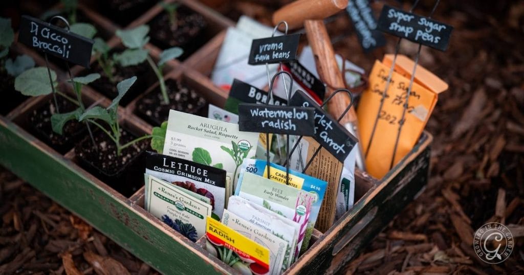 Succession Planting in the Low Desert