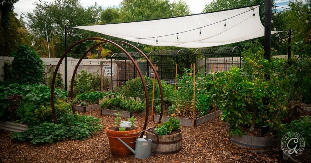 Add shade cloth to your hot summer garden