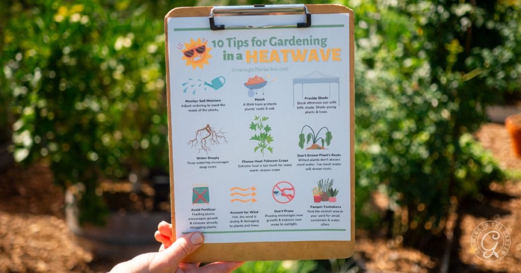Surviving a Heatwave: 10 Tips for Gardening in High Heat