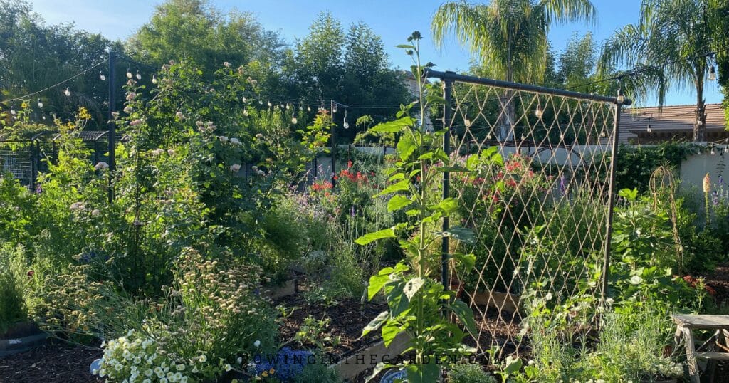 The Freyr Trellis is a timeless way to add structure and beauty to your garden – attach a string or jute netting to a pole and watch your plants grow. 