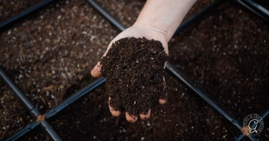The Best Soil for Raised Bed Gardening