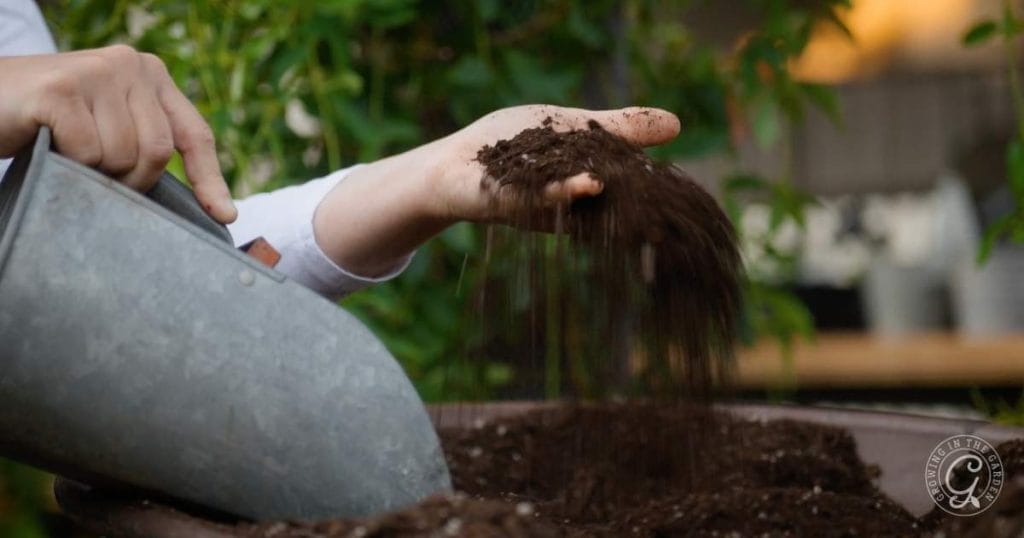 The Best Soil for Raised Bed Gardening