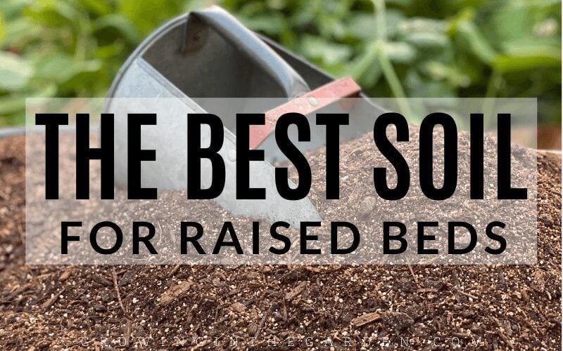 The Best Soil for Raised Bed Gardens