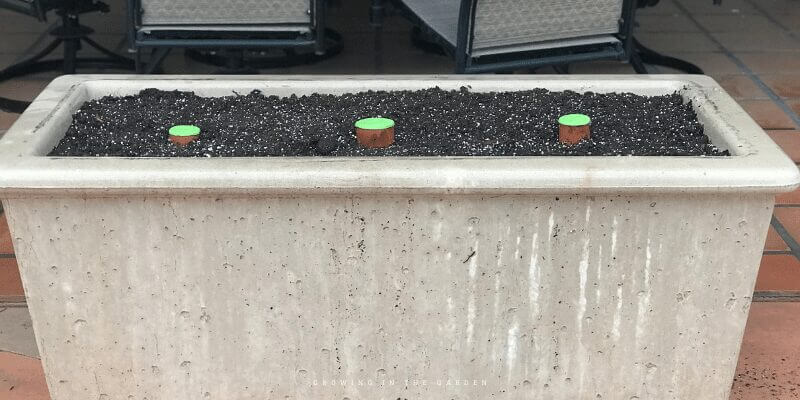 I use ollas from Growoya. I've used them in different areas around my garden and have found them the best way to water outdoor potted plants. If you would like more information about using ollas, check out their website. Use code GROWING for a small discount.