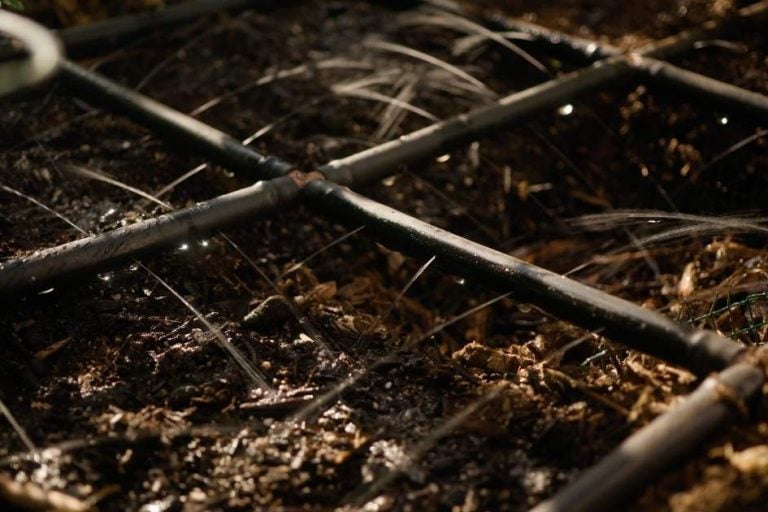 The Best Way to Water Raised Bed Gardens featured image