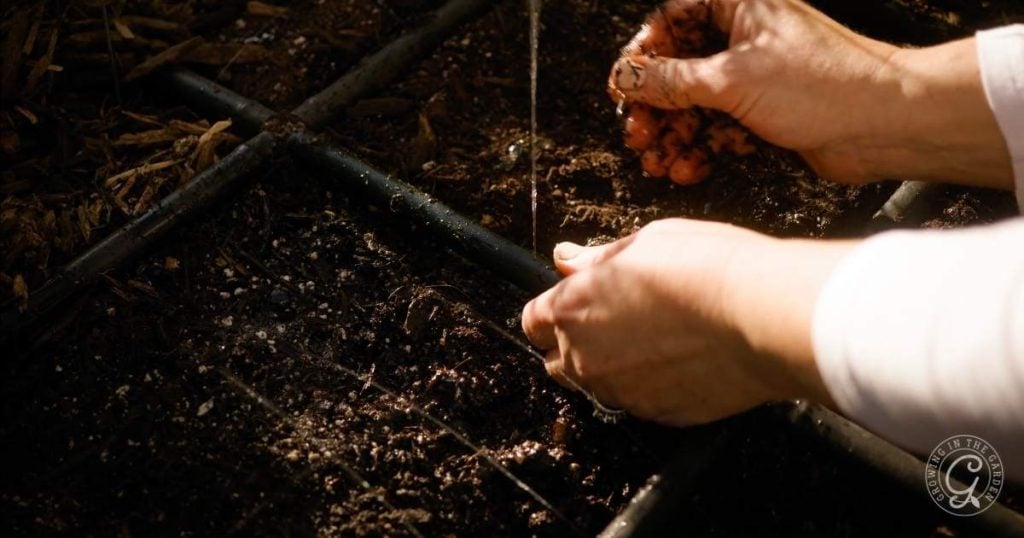 The Best Way to Water Raised Bed Gardens