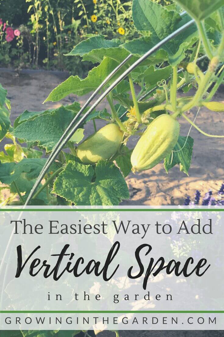 The Easiest Way to Add Vertical Space in the Garden #verticalgardening #gardenhack #gardening