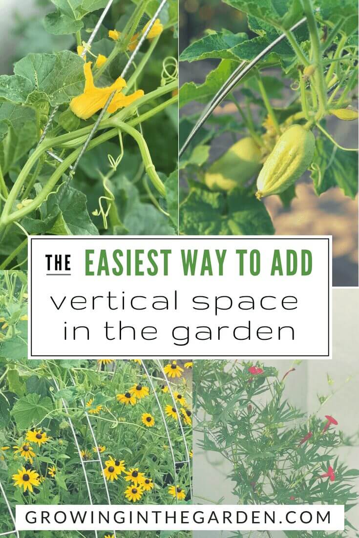 The Easiest Way to Add Vertical Space in the Garden #verticalgardening #gardenhack #gardening