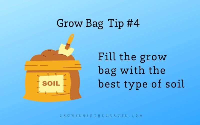 Grow Bag Gardening 5 Tips for Success