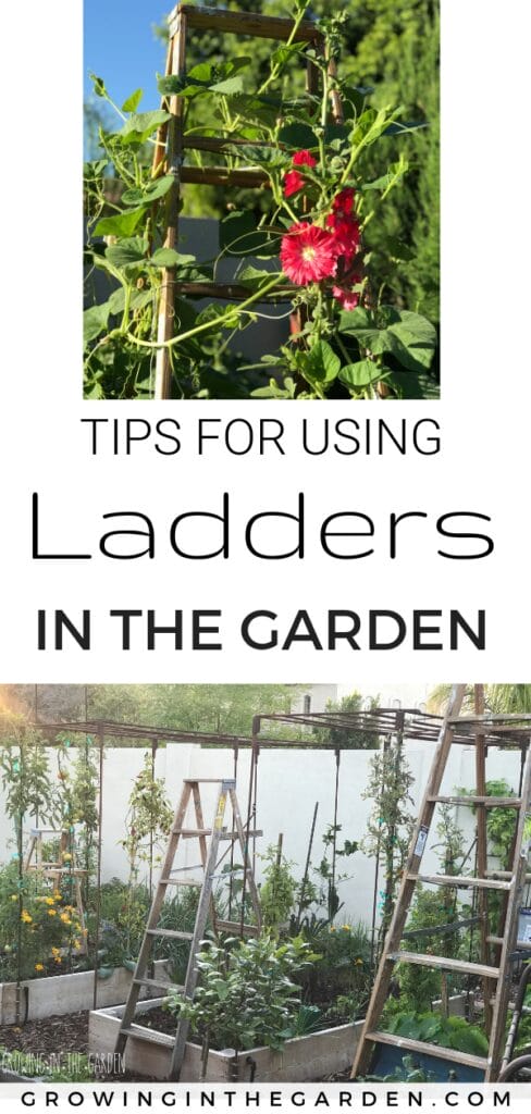 tips for using ladders in the garden