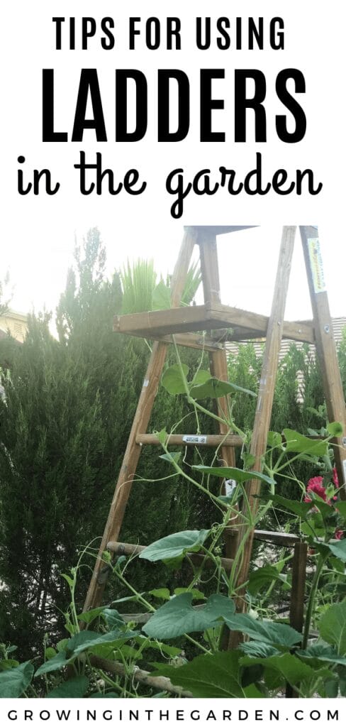 tips for using ladders in the garden