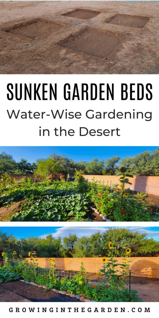 Sunken Garden Beds: Water-Wise Gardening in the Desert