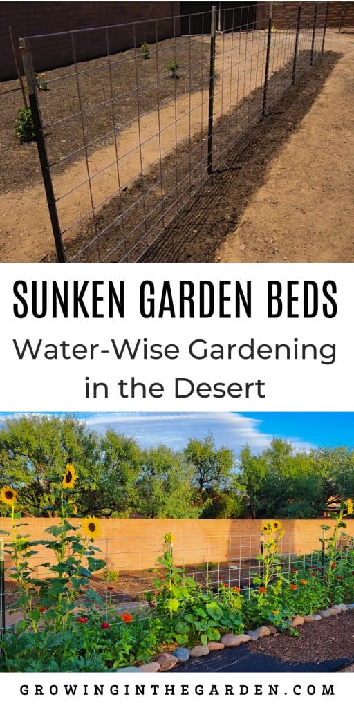 Sunken Garden Beds: Water-Wise Gardening in the Desert
