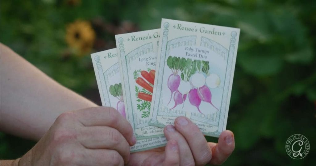 Top 10 Easy Fall Vegetables to Plant from Seed