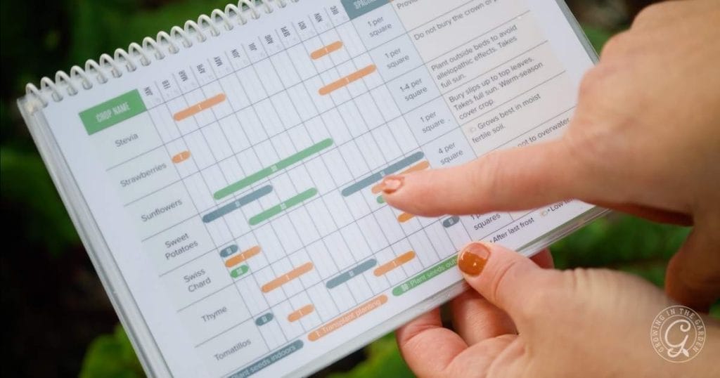 Top 10 Easy Fall Vegetables to Plant from Seed