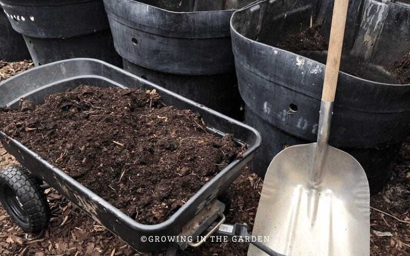 Mistakes are often the best teacher, but learn from others' raised bed garden mistakes instead of making your own.