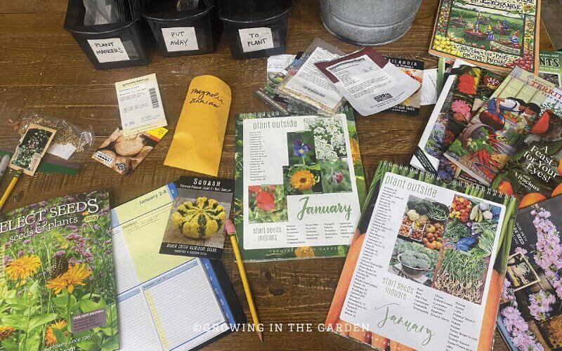 Mistakes are often the best teacher, but learn from others' raised bed garden mistakes instead of making your own.