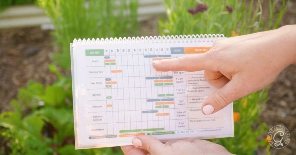 Top Winter Crops for Hot Climates What to Grow and When