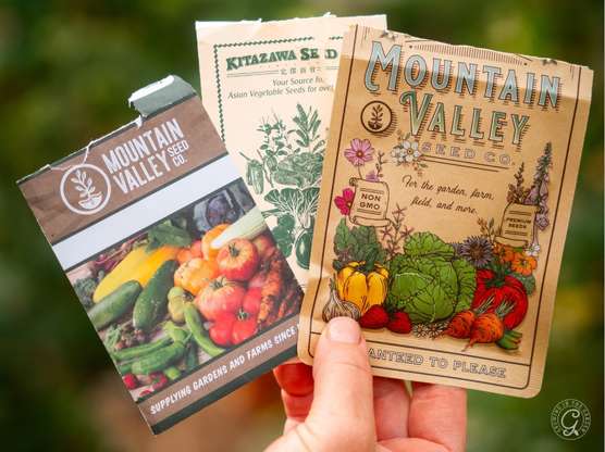 True Leaf Market Seeds featured image