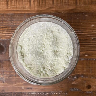 Freeze dried onion powder